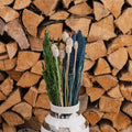 Buket Eventyr, 55 cm