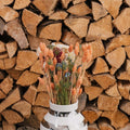 Buket Glimt, 50 cm