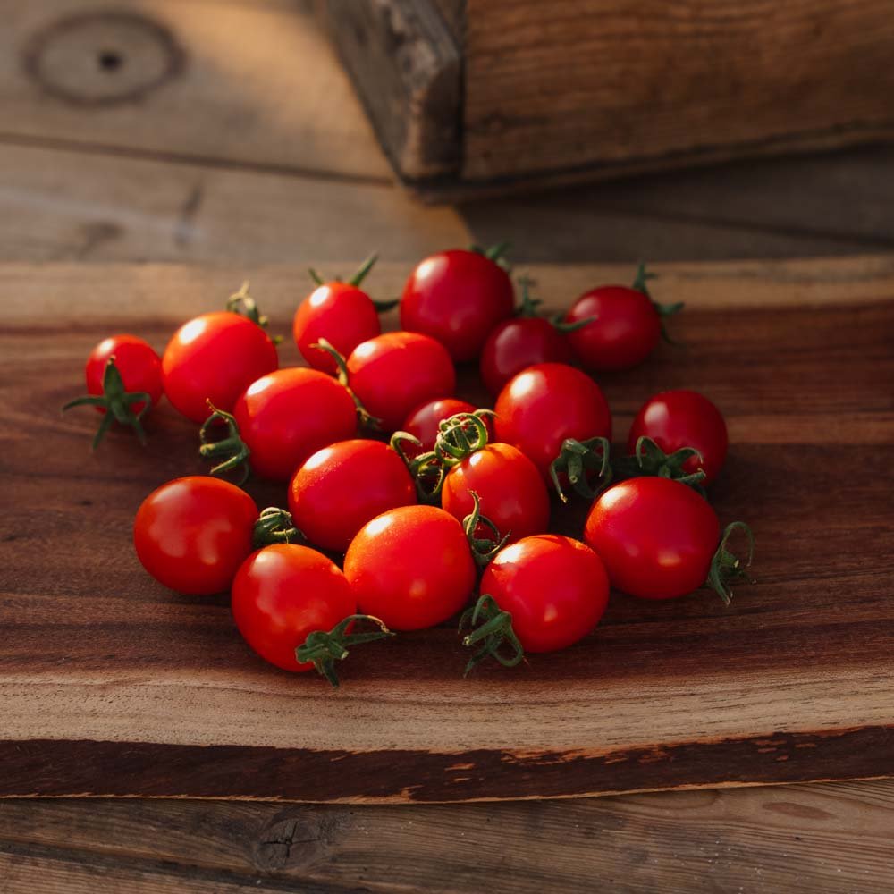 Cherrytomat frø 'Bartelly F1' - 5 Økologiske Frø