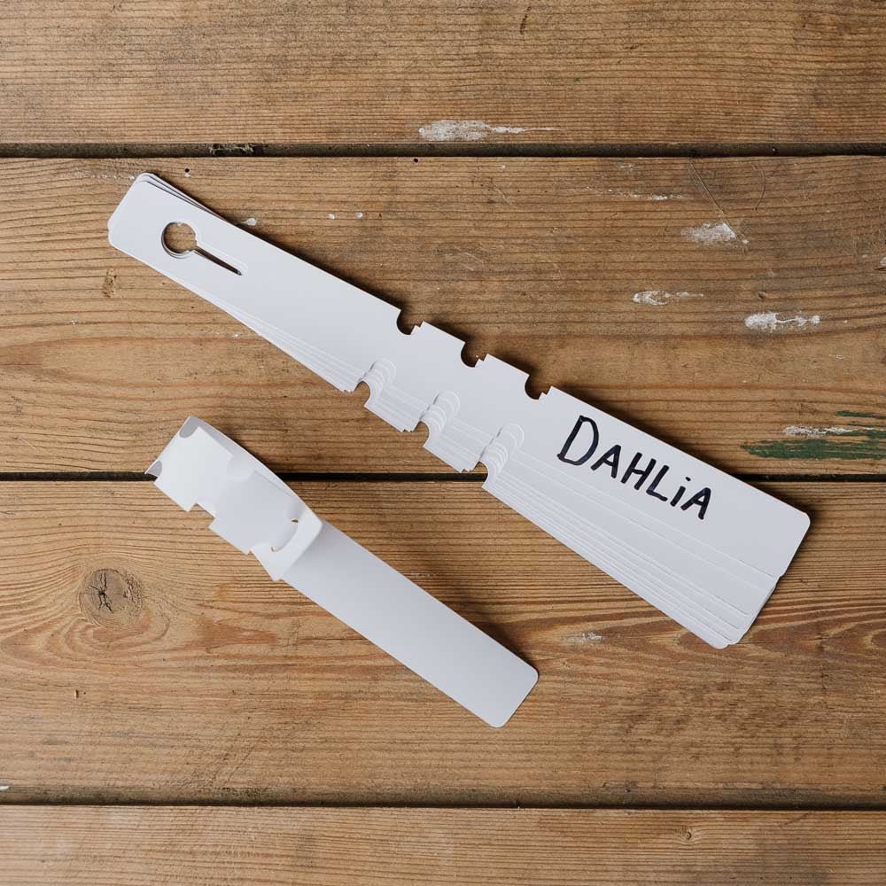 Dahlia mærkater 10 stk.