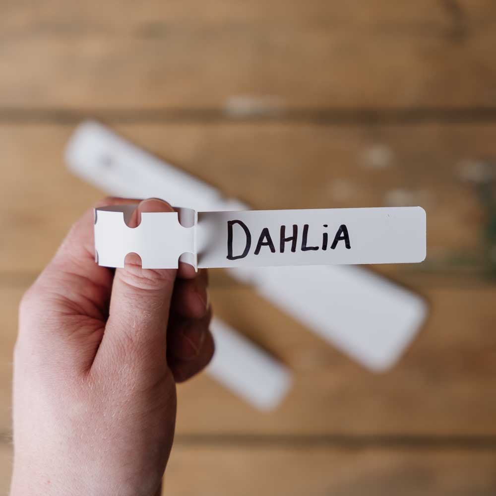 Dahlia mærkater 10 stk.