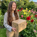 Dahlia Mystery Box