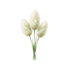 Blomsterfrø