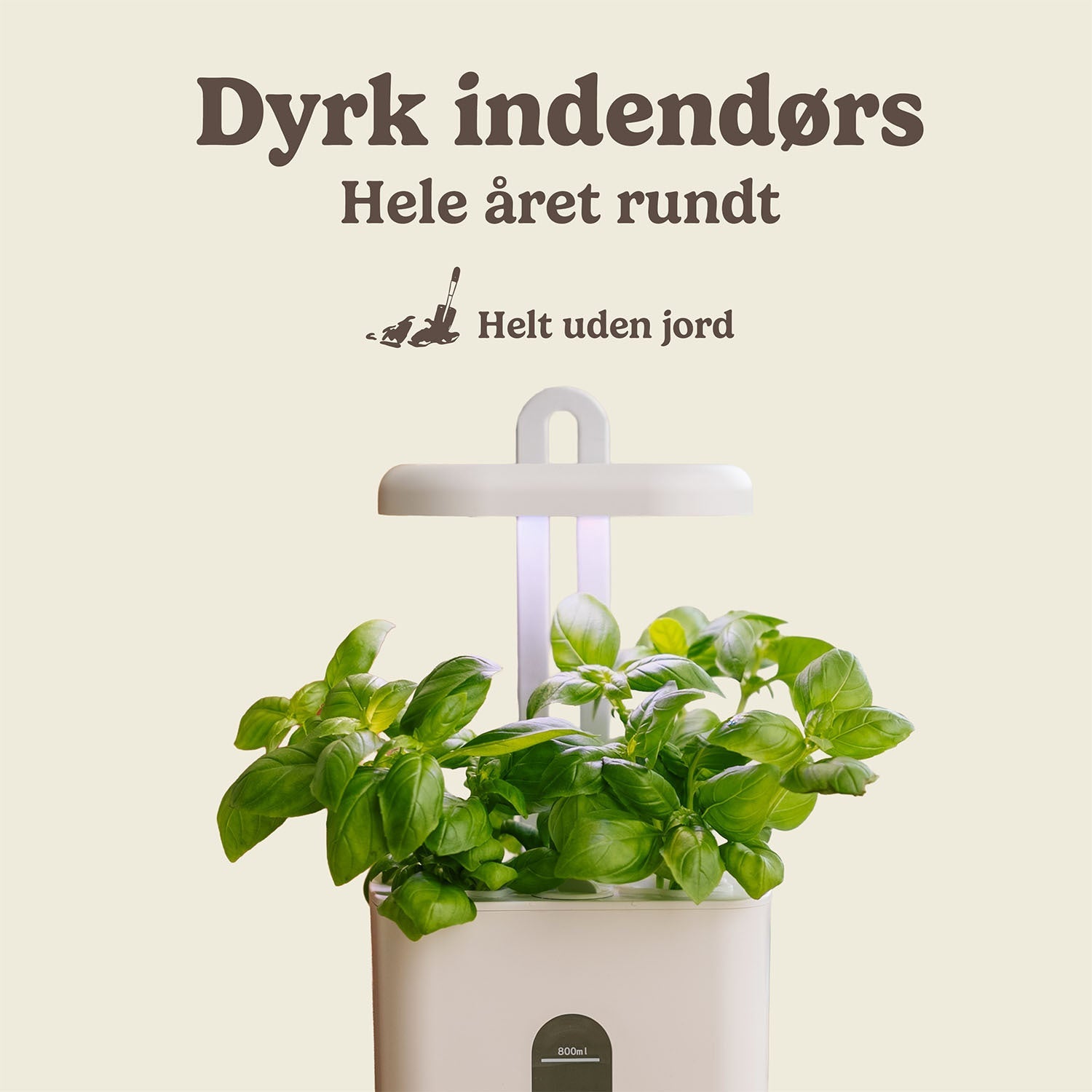 Indendørs køkkenhave, lille