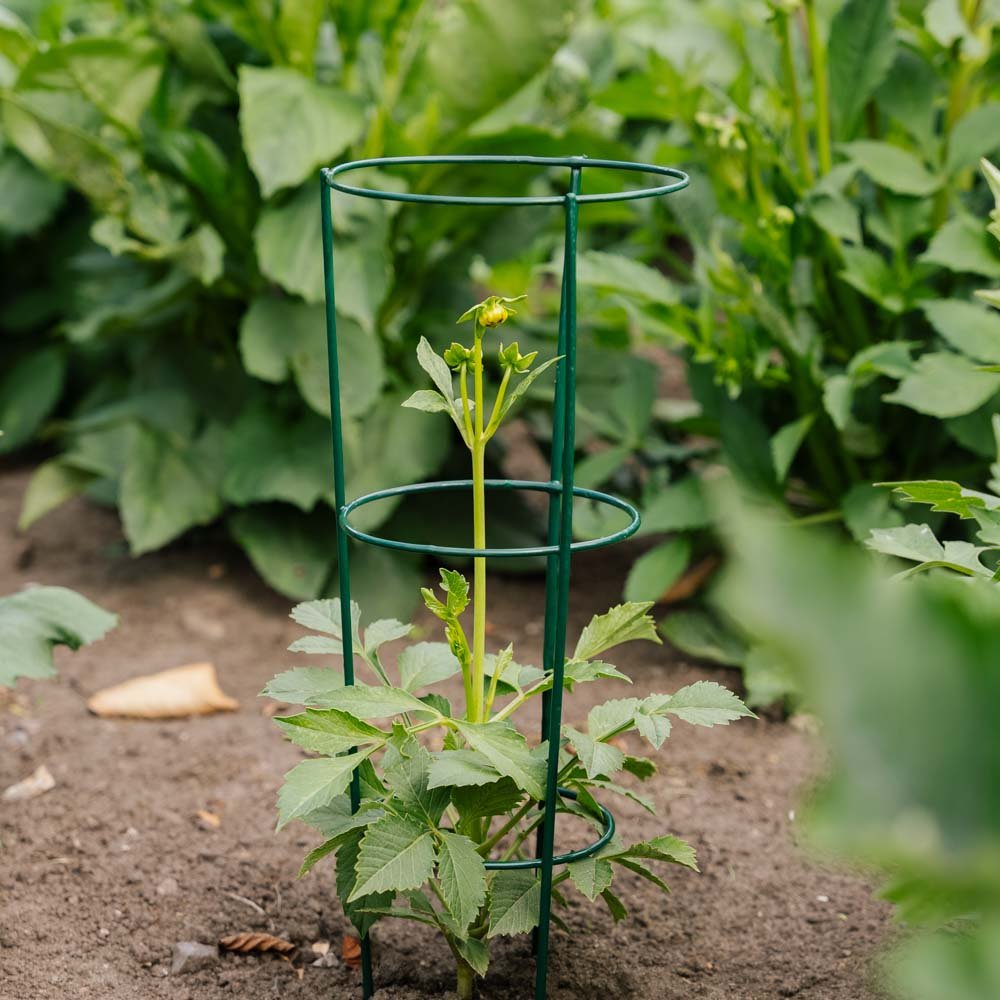 Konisk plantesupport, L: 18 cm B: 18 cm H: 48 cm