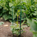 Konisk plantesupport, L: 18 cm B: 18 cm H: 48 cm