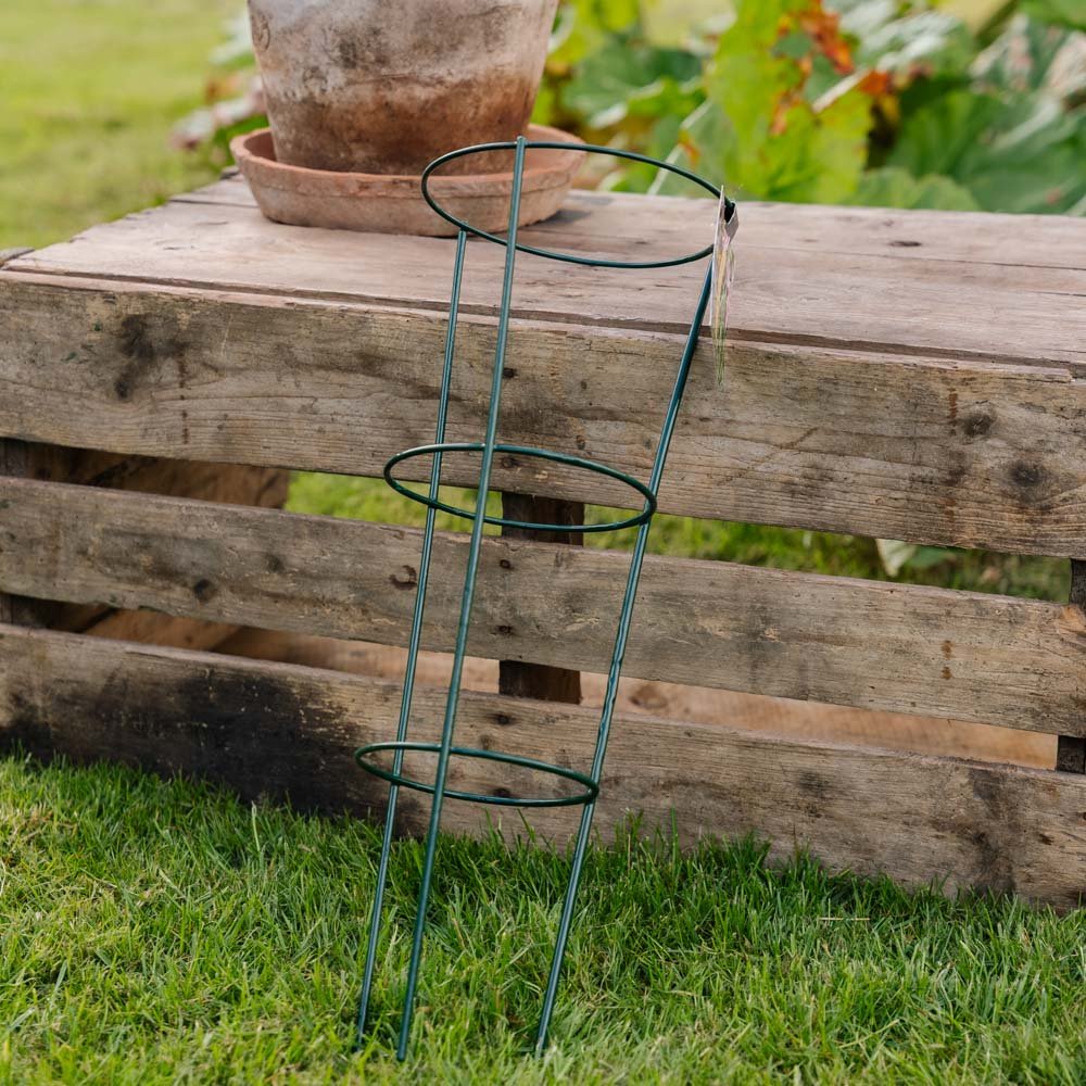 Konisk plantesupport, L: 18 cm B: 18 cm H: 48 cm