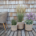Rattan plantekurve i natur - 3 stk