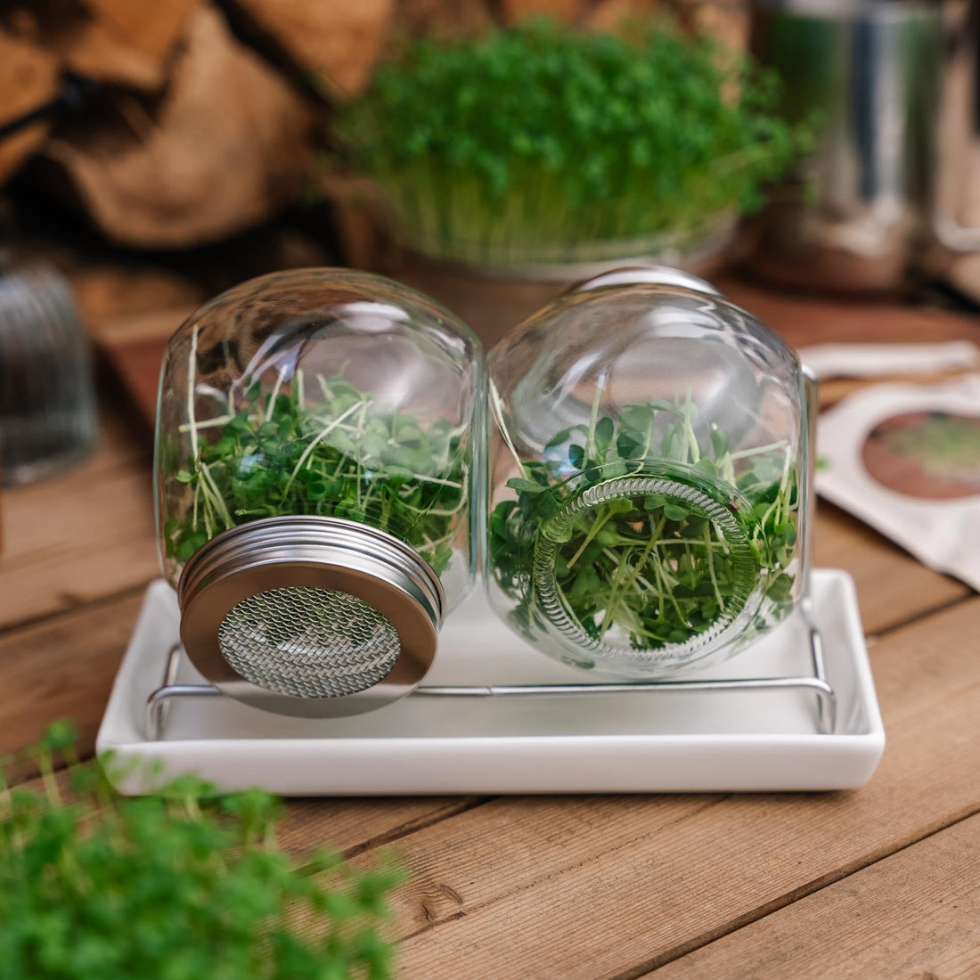 Spireglas sæt med bakke