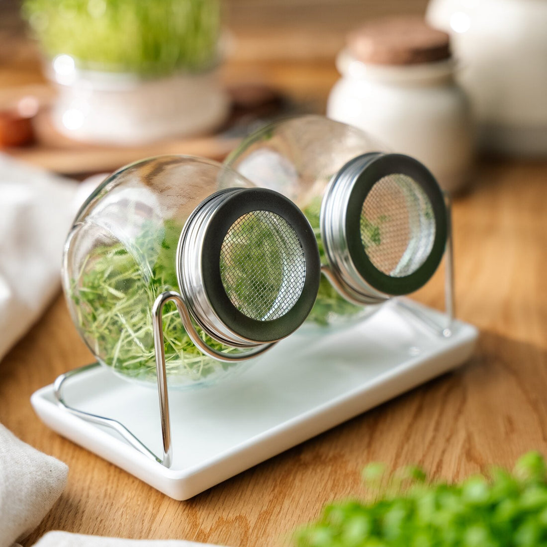 Spireglas sæt med bakke