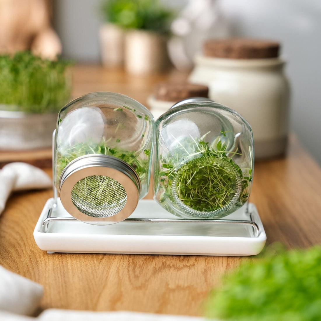 Spireglas sæt med bakke