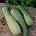 Squash frø 'Alberello' - 10 Økologiske Frø