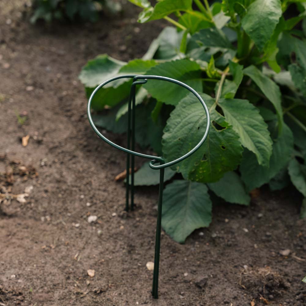 Støttebøjle til planter, B: 20 cm H: 35 cm