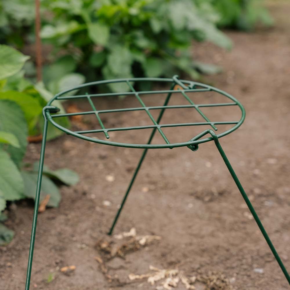 Støttenet til planter, B: 30 cm H: 45 cm