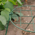 Støttenet til planter, B: 30 cm H: 45 cm