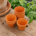 Terracottapotter 7/8 cm, 7 stk.