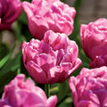 Løglasagne 'Hatbox Posy'
