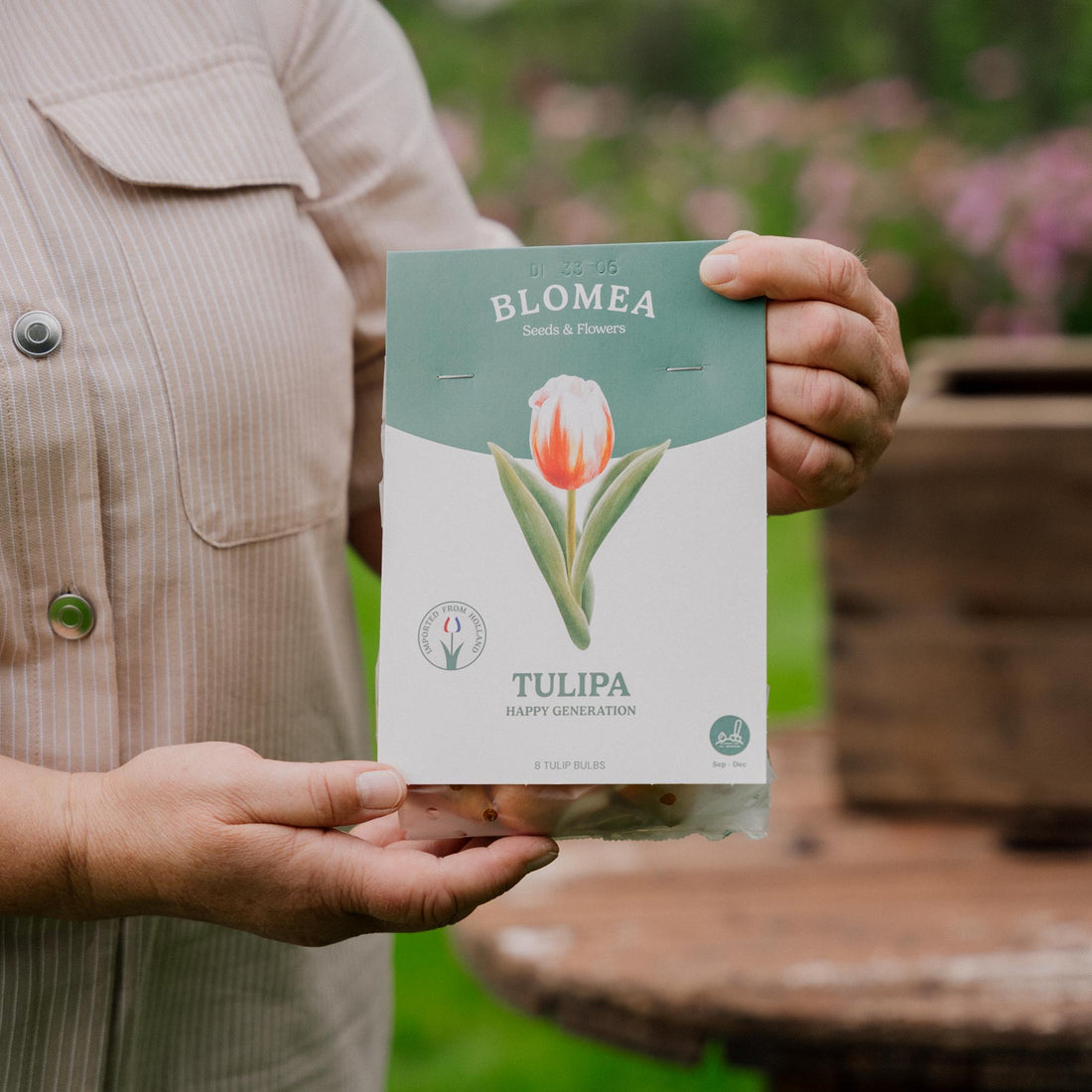 Tulipan 'Happy Generation'